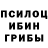 Галлюциногенные грибы Magic Shrooms Zalina Chechen