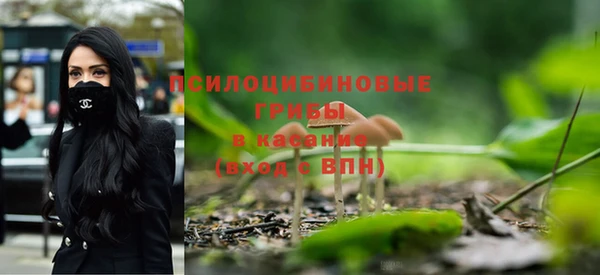 крисы Абдулино