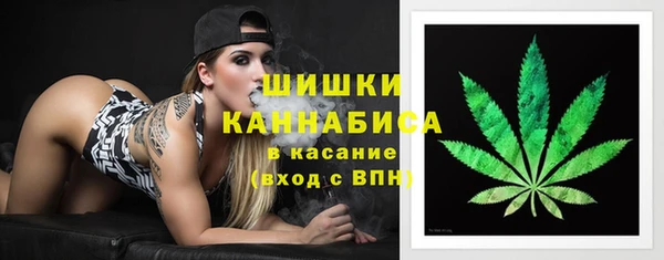 крисы Абдулино
