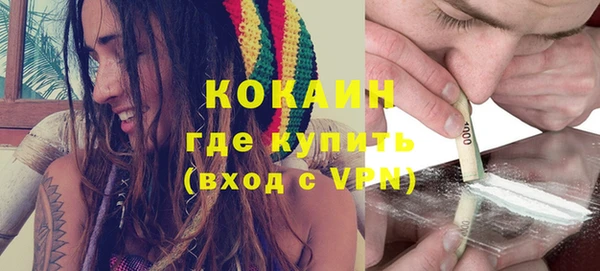 твердый Абаза
