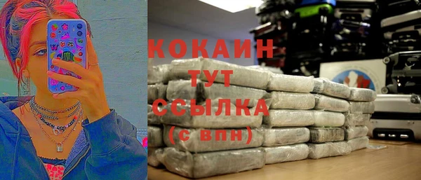 твердый Абаза