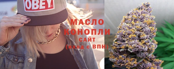 твердый Абаза