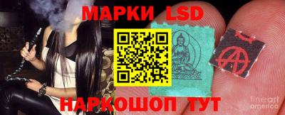 шишки Абакан
