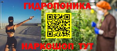 шишки Абакан