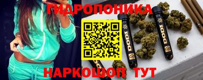 шишки Абакан