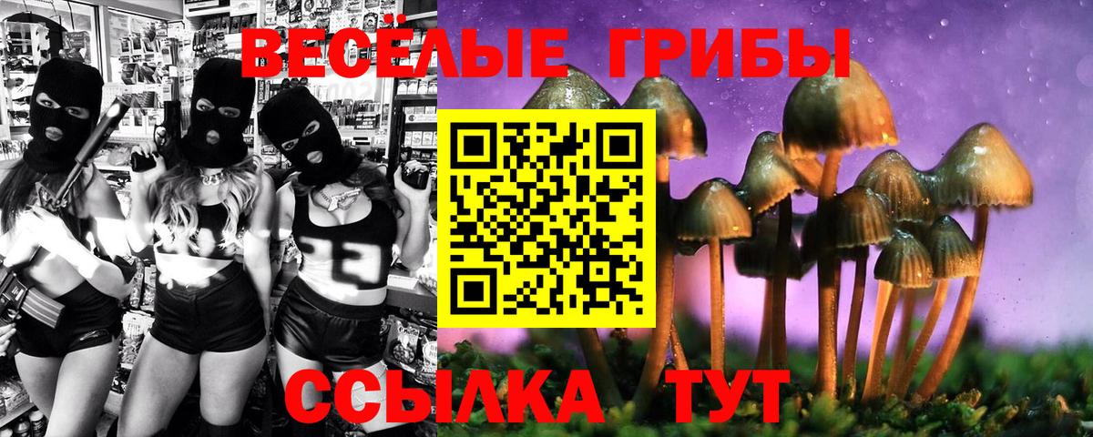 Псилоцибиновые грибы MAGIC MUSHROOMS Отрадный